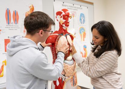 Students studying the brain and nervous system at JCU